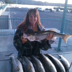 Meet your Posher, Debi